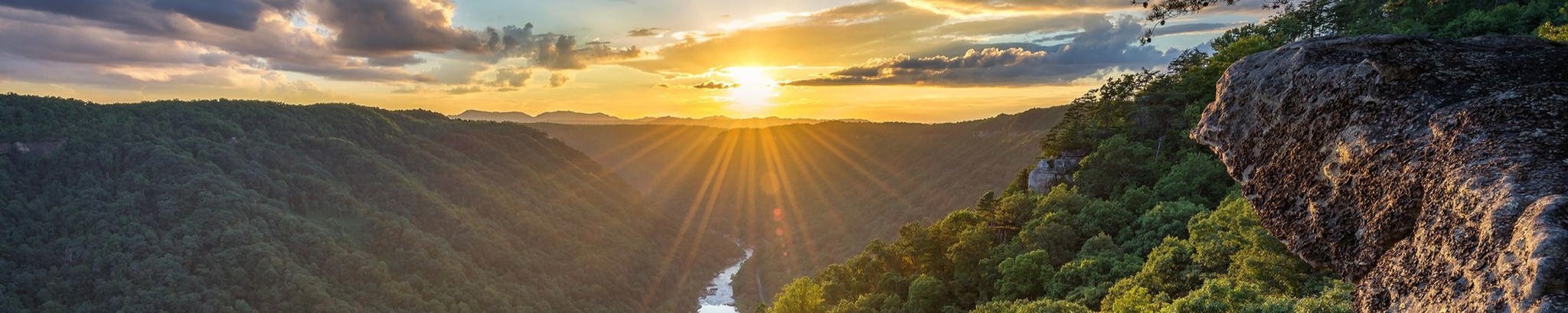 Cover photo for Sandra Pauline Ward's Obituary