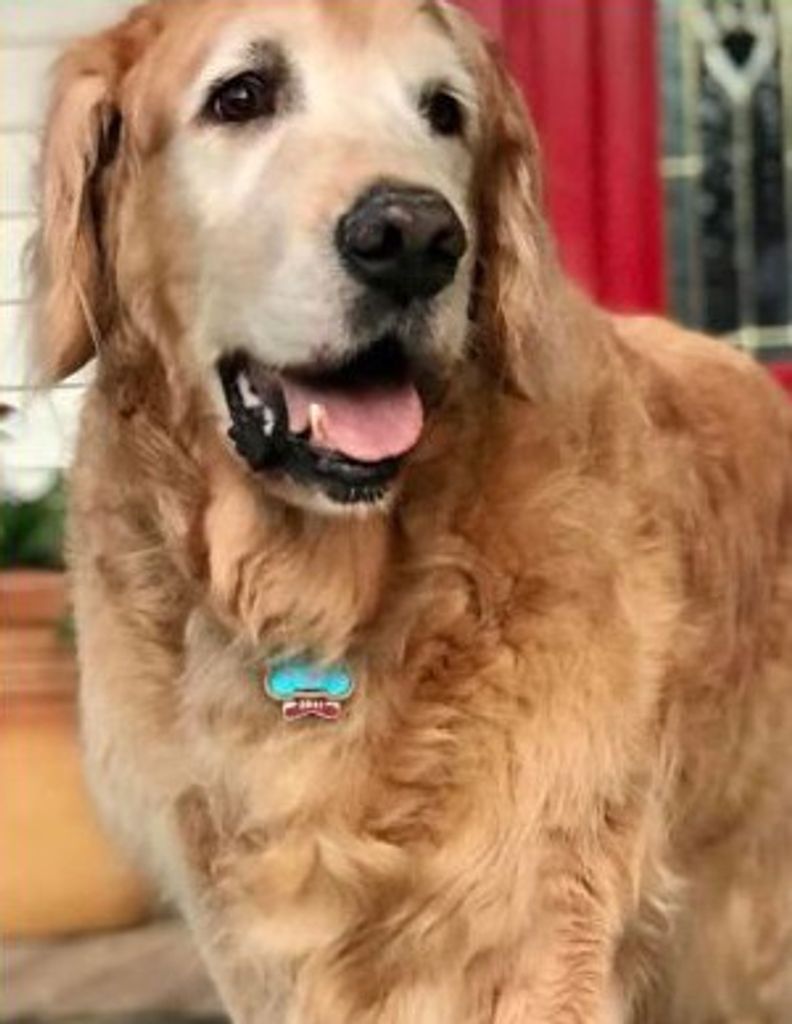 Duke White Profile Photo