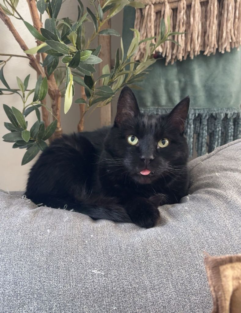 Reg Profile Photo