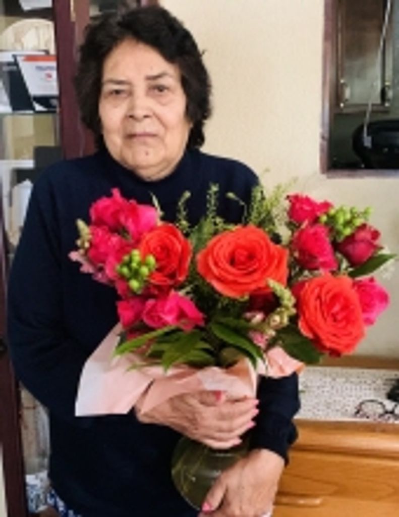 Maria J. Alba
