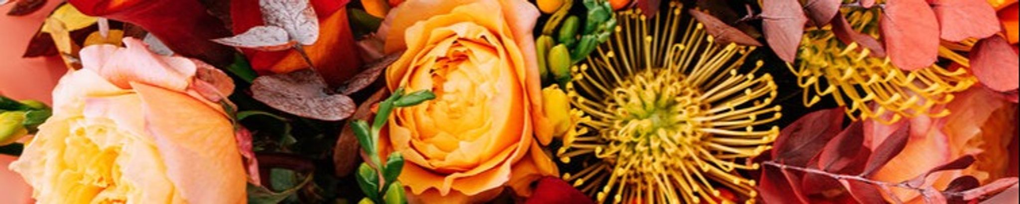 Cover photo for Jean Willett's Obituary