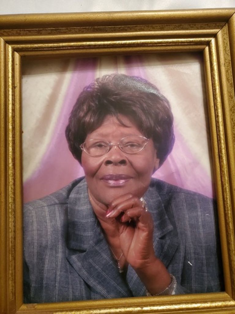 Ellen Willis Profile Photo