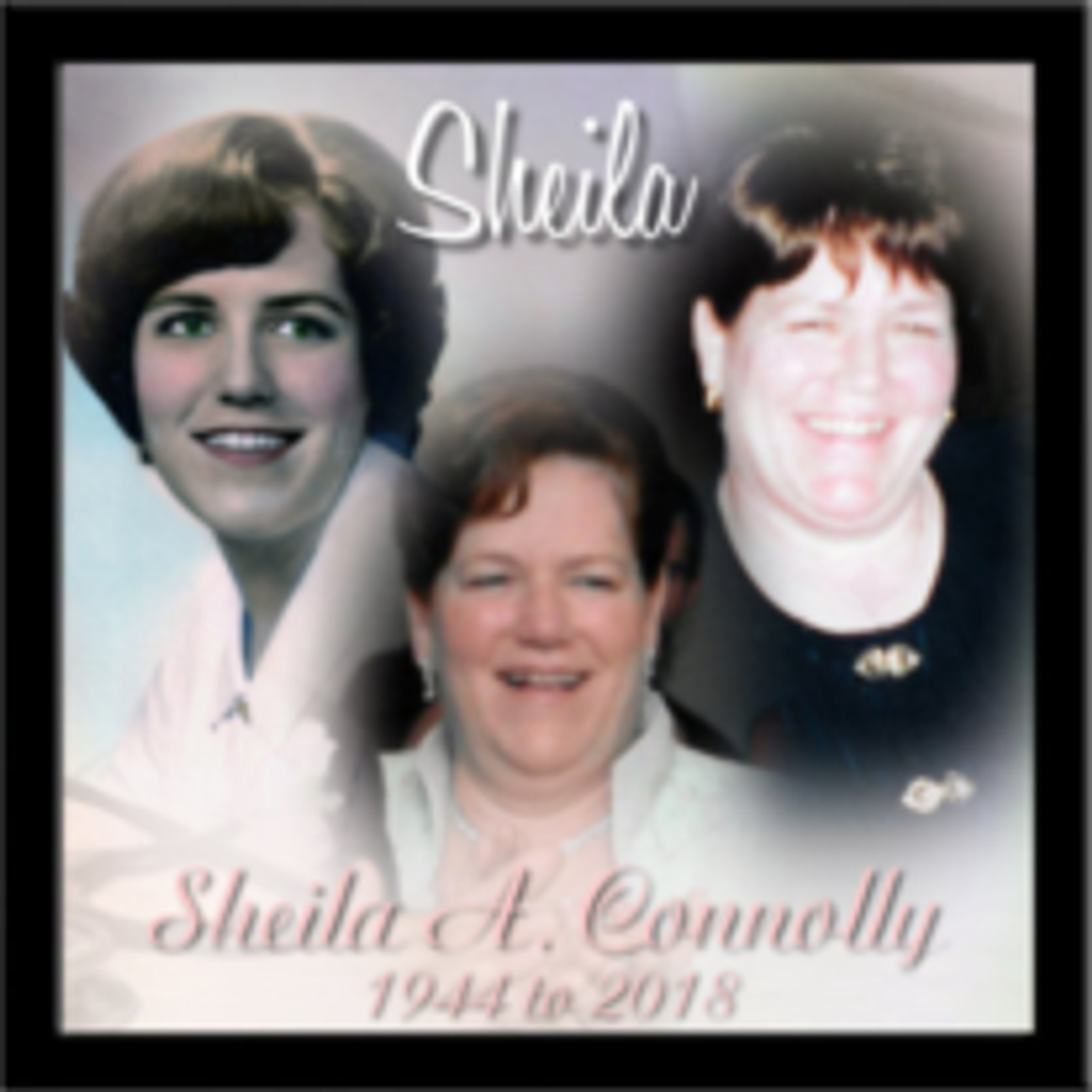 Sheila A. Connolly