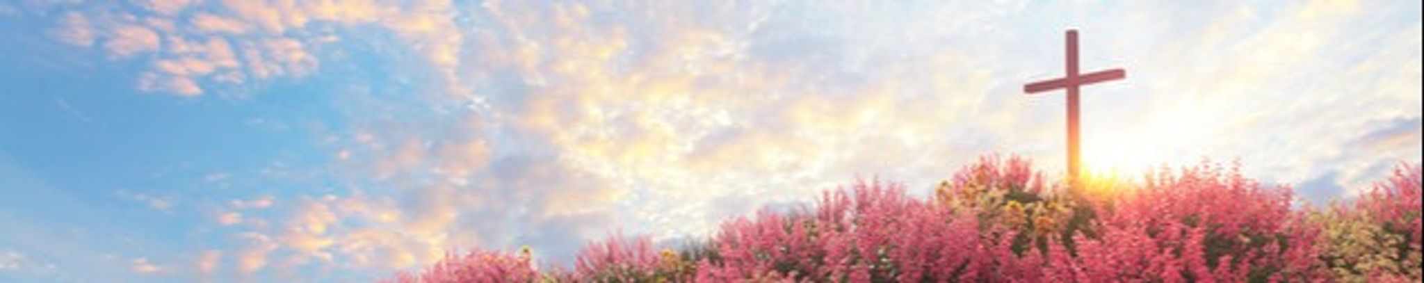 Cover for Nellie Hortense Stewart Kennedy's Obituary