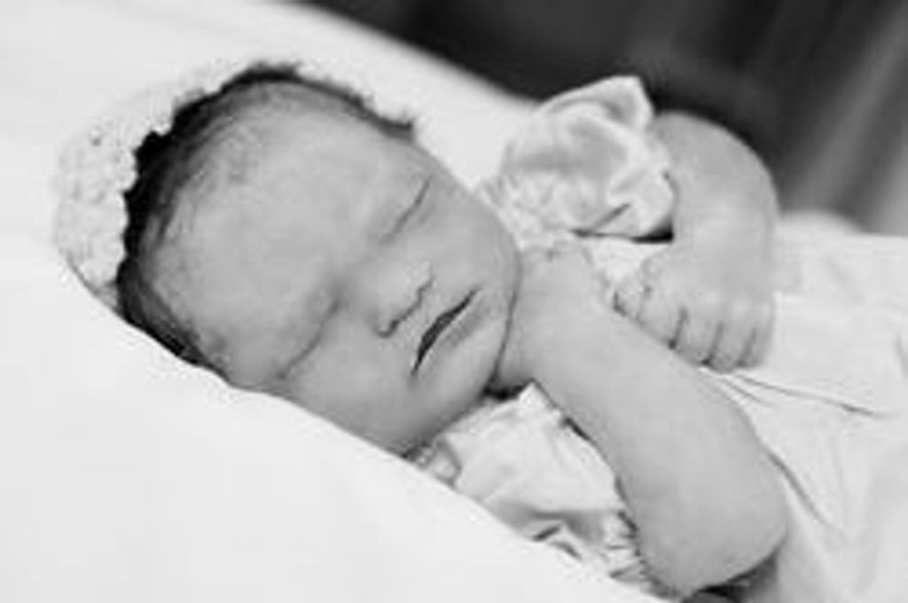 Josephine Jerine Spindler Profile Photo