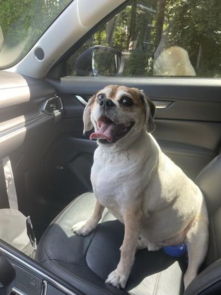 Buddy Maddux Profile Photo