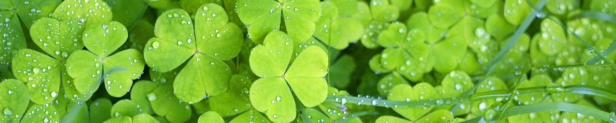 Cover for Timothy J. McDonough's Obituary