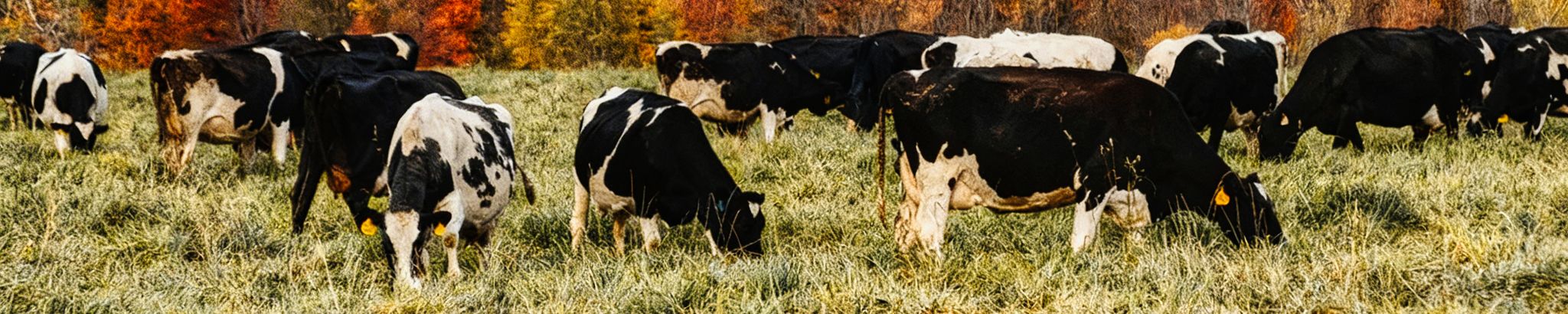 Cover for Gregory Michael Heming's Obituary