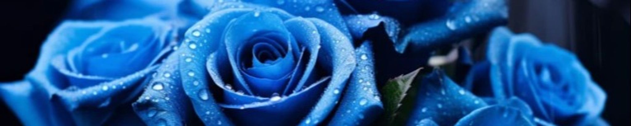 Cover for Maria Zimmer's Obituary