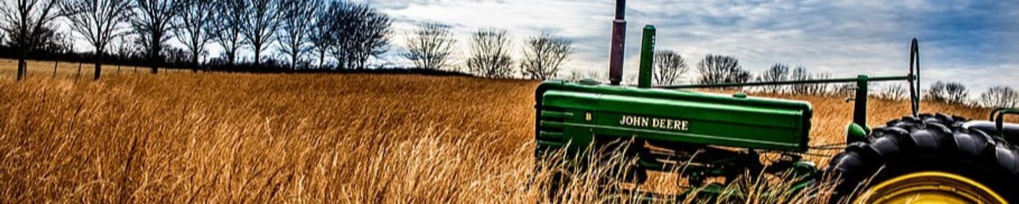 Cover photo for Lavern De Jonge's Obituary