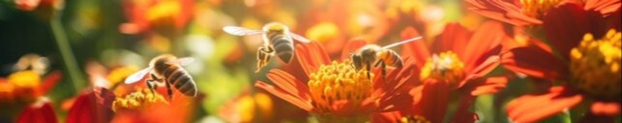 Cover for Jennifer E. Geis-Miller's Obituary