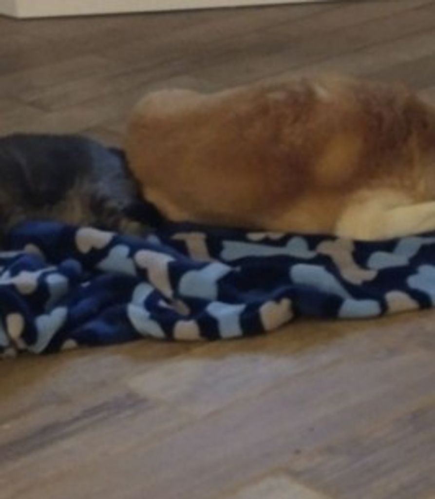 Trigger Taylor Profile Photo