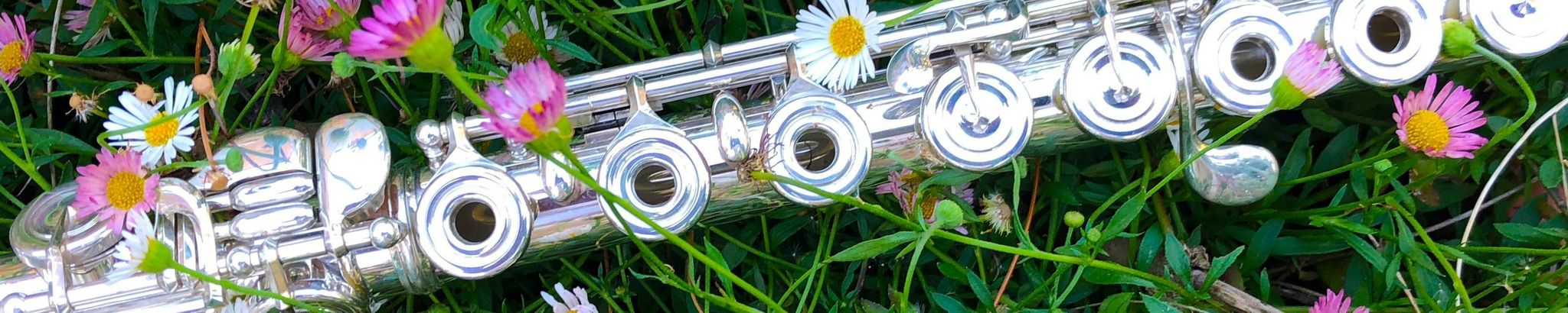 Cover for Sandra Yvonne Kruse's Obituary