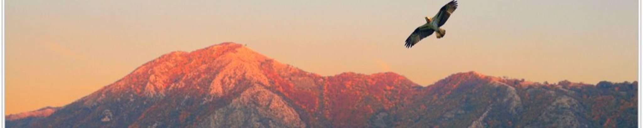 Cover photo for Salvatore M. DeVito Sr.'s Obituary