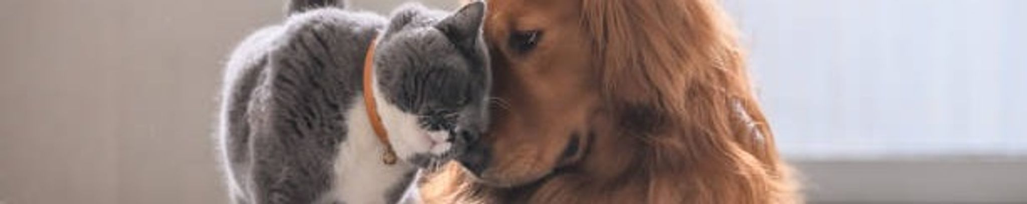 Cover for Betty Crawford's Obituary