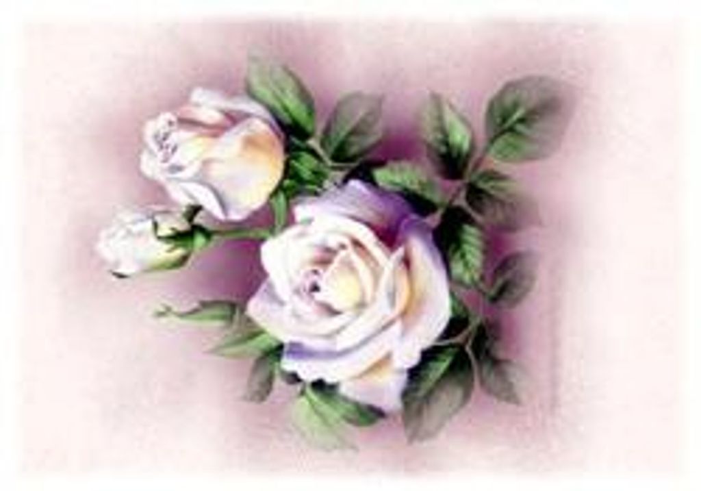 Deloris I. Ertmer Profile Photo