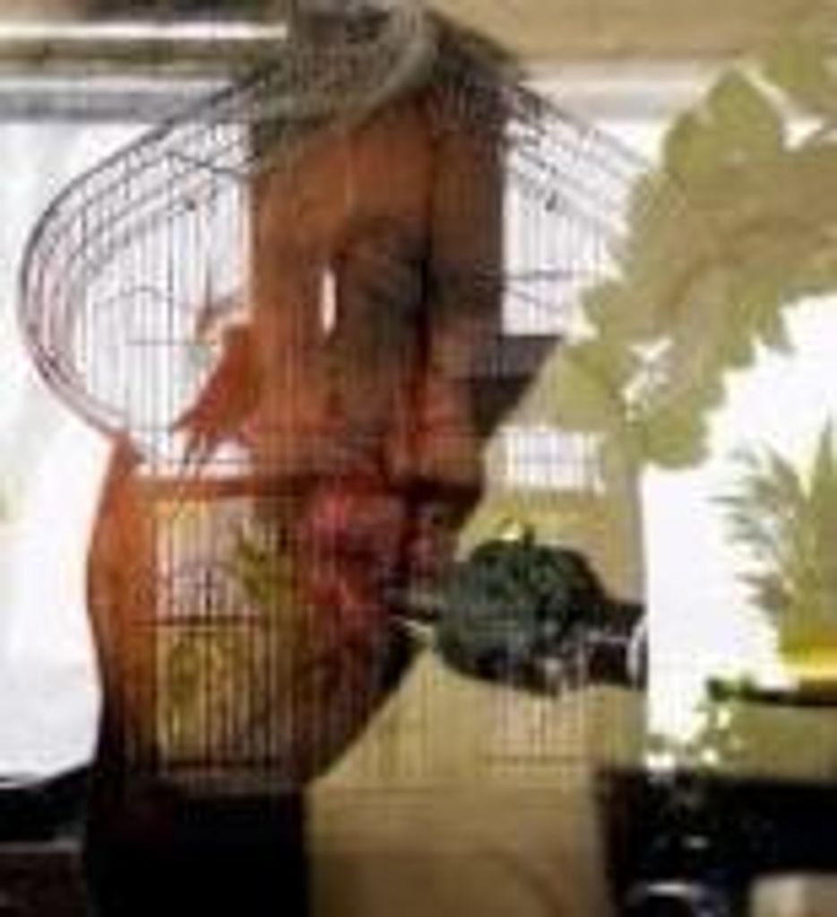 Omar D. Bautista Profile Photo