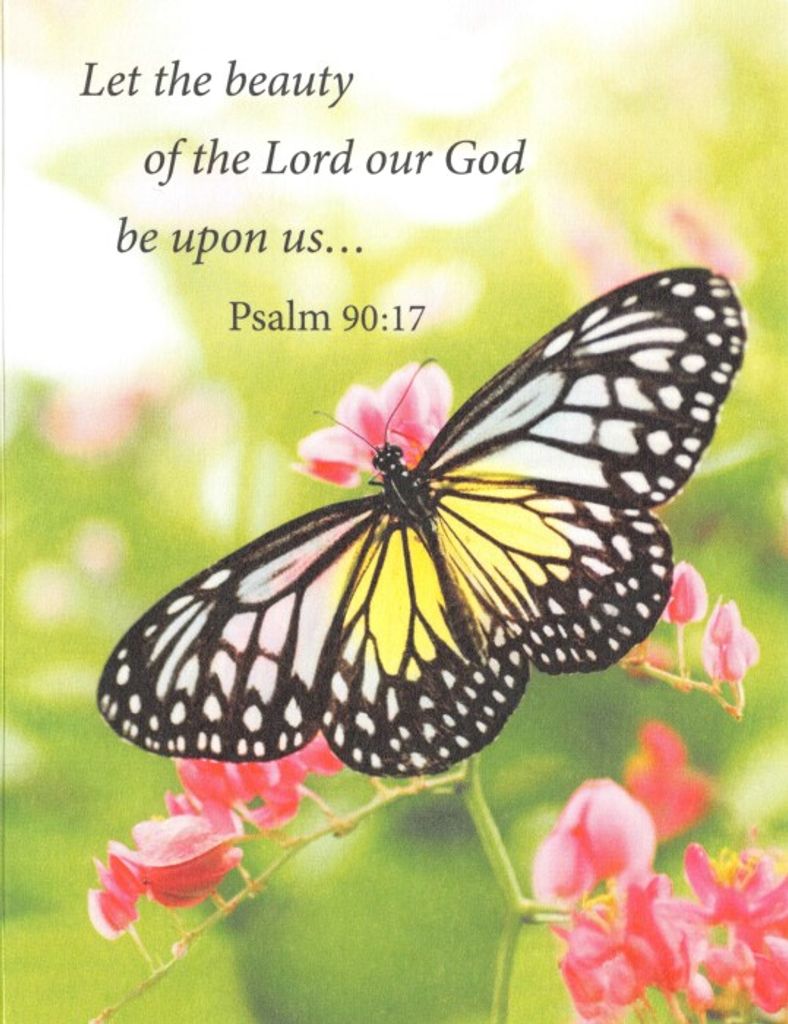 Carolyn Jean (Shannon)  Strobel