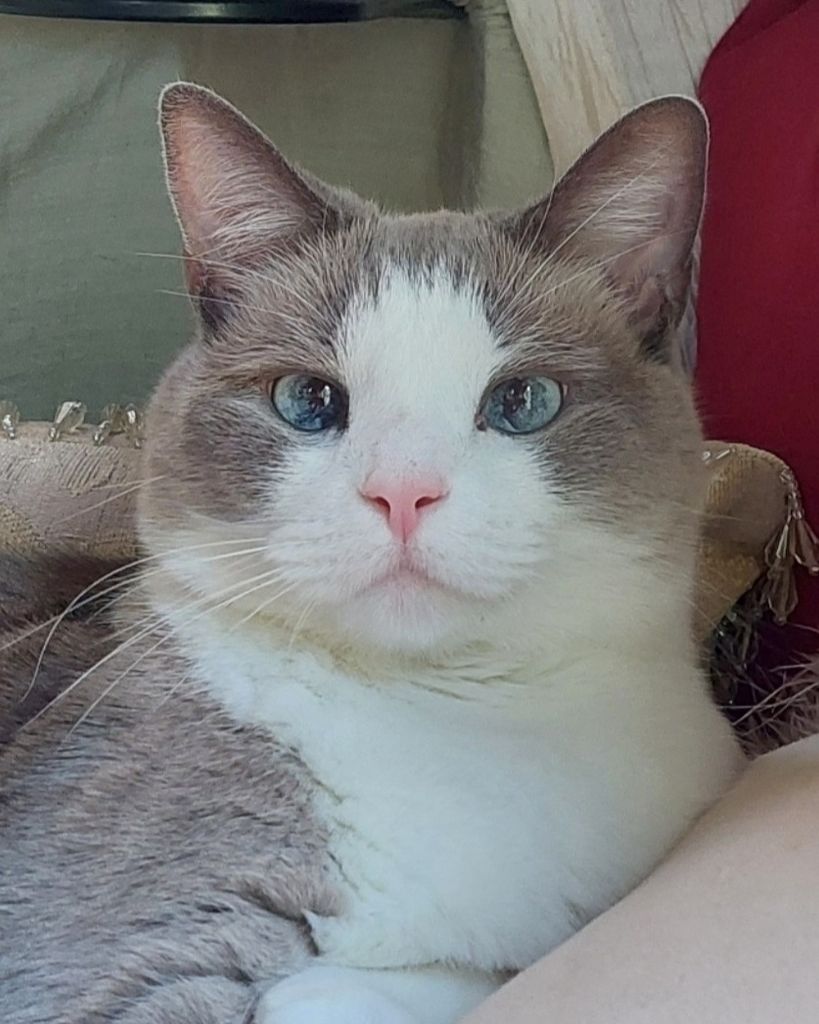Teaga Quick Profile Photo