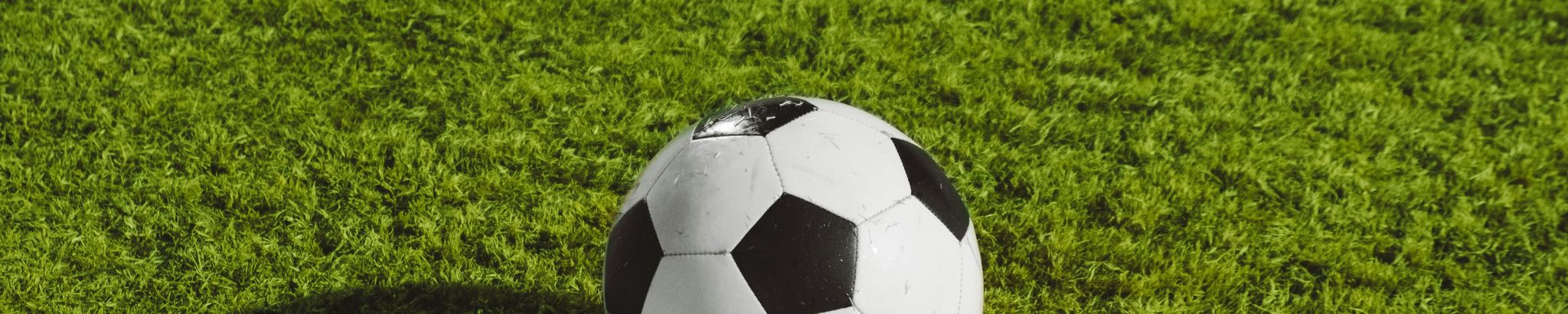 Cover for Lyndon Nelson David's Obituary