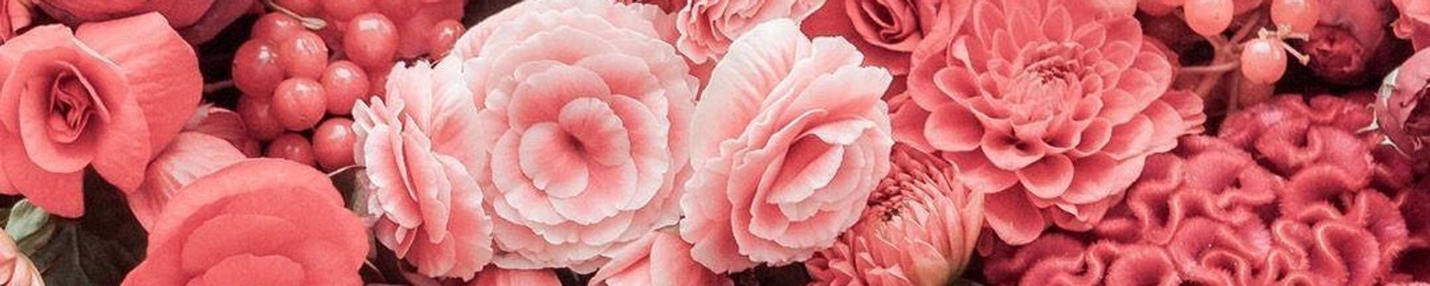 Cover photo for Maria Evangeline (Jean) Hunter's Obituary