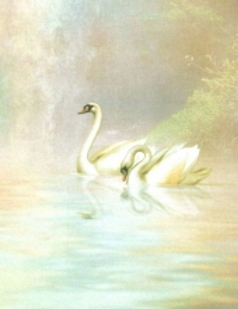 Jean Larson