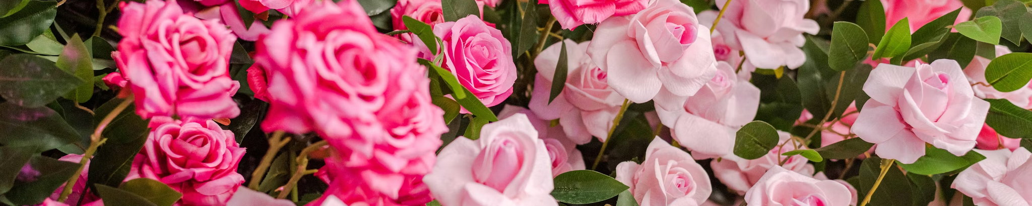 Cover for Bernice Marcella Rank's Obituary