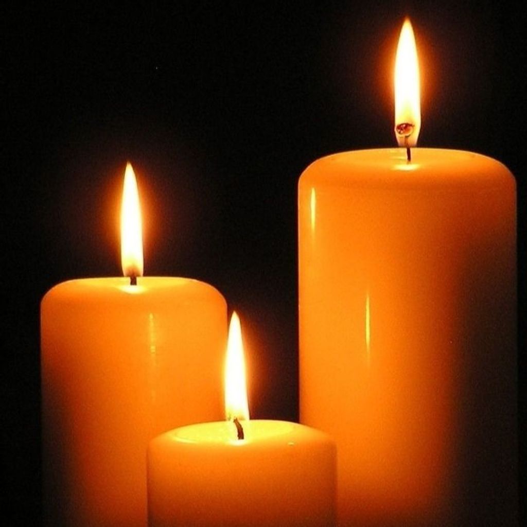 Gene Barry Plaskon Profile Photo