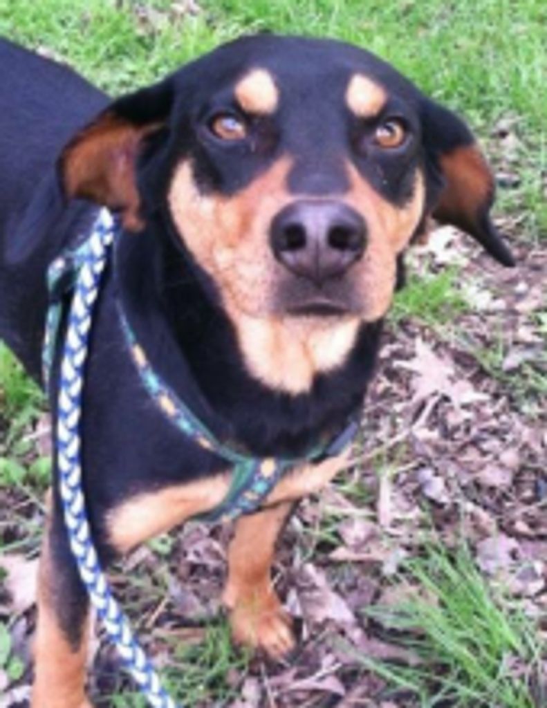 Odie Kaylor Profile Photo