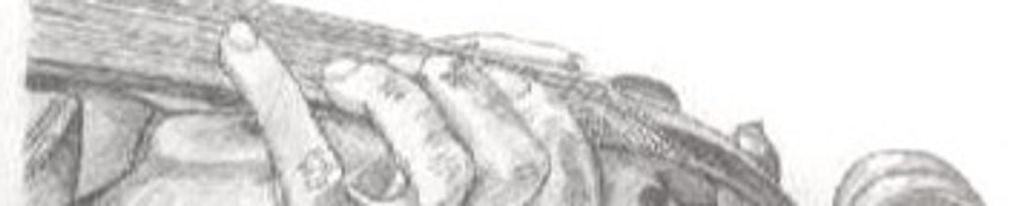 Cover photo for Glenda S. Nagunst's Obituary