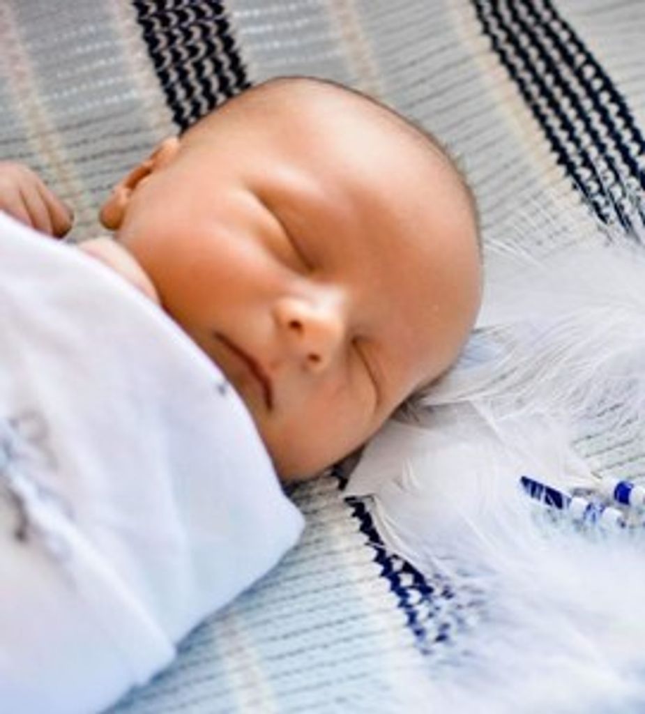 Hudson Lee Santoro