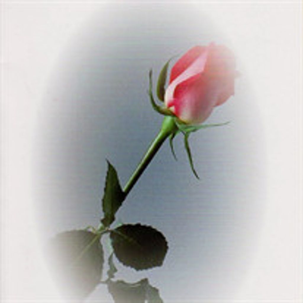 Anna Rose Kirk Taylor