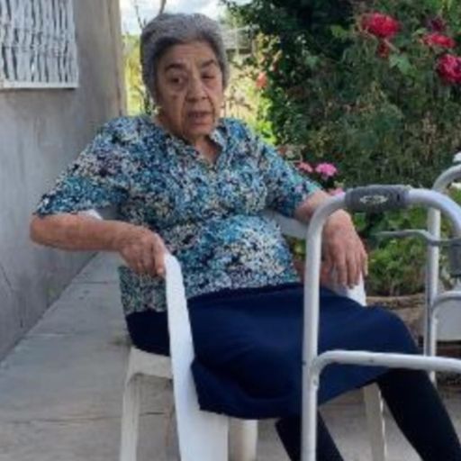 Carmen Navarrete De Amparan Profile Photo