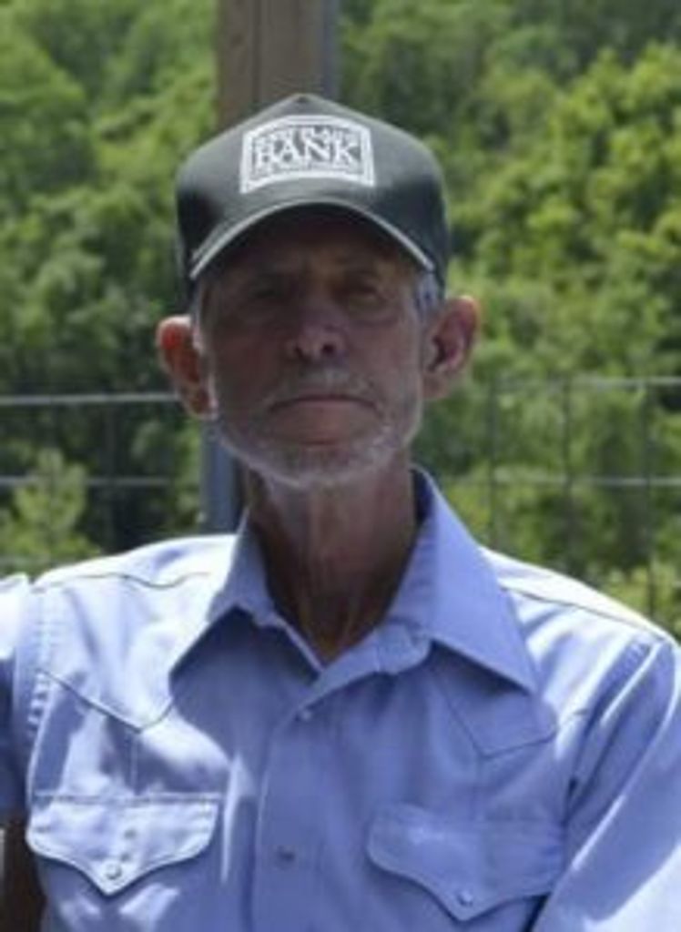 Jim Williams Profile Photo