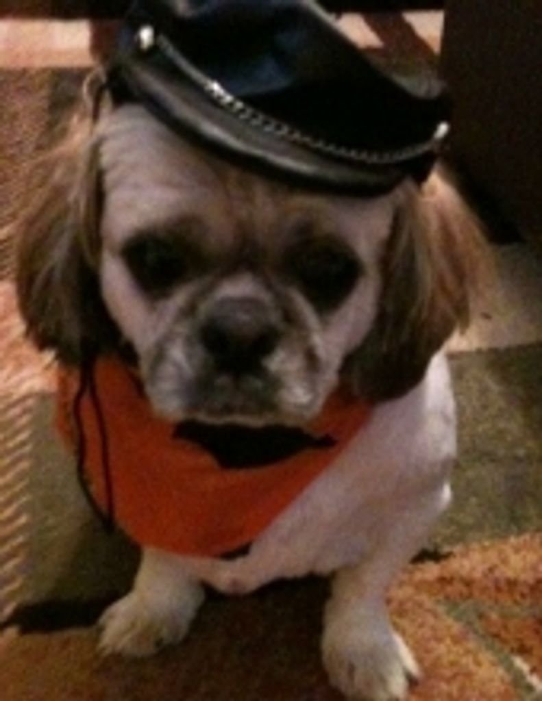 Harley "Fatboy Davidson" Watson