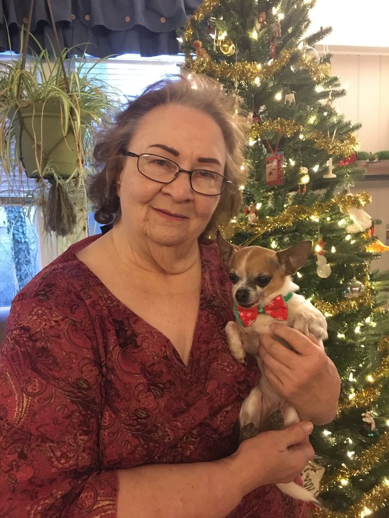 Penny Fay Begley Profile Photo