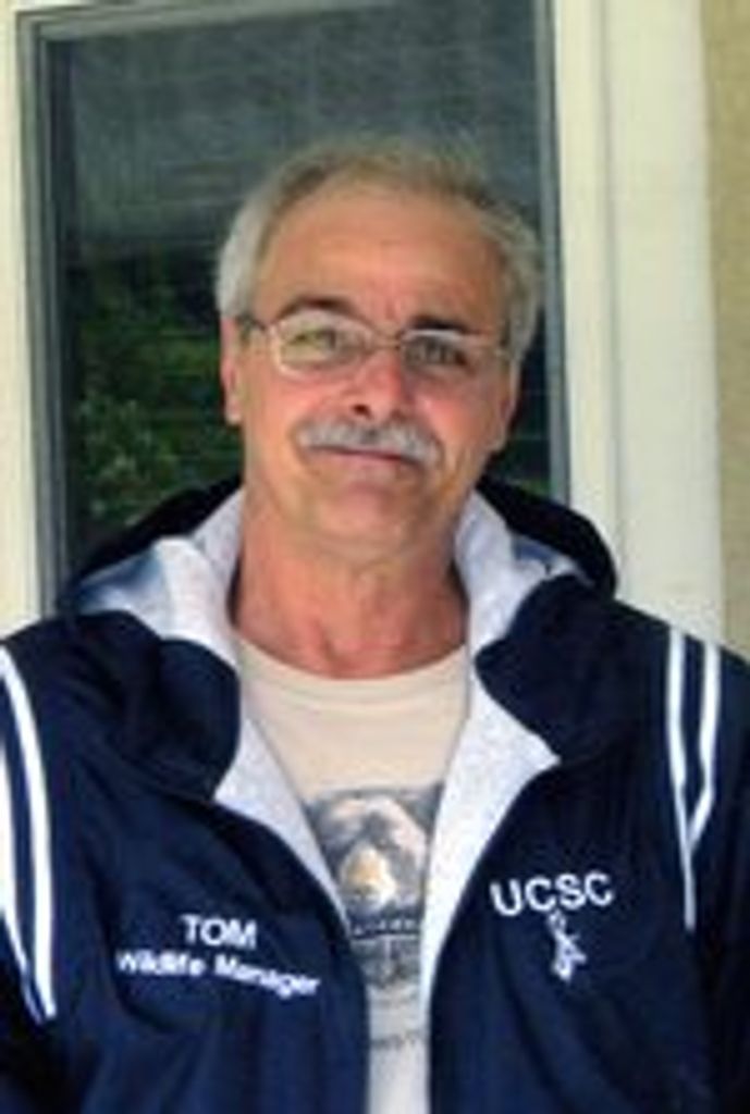 Thomas Picarelli