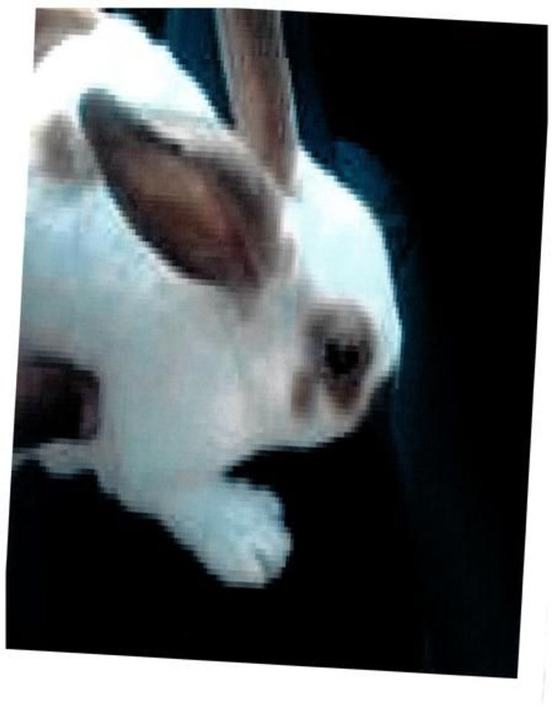 Dusty Johnson Profile Photo
