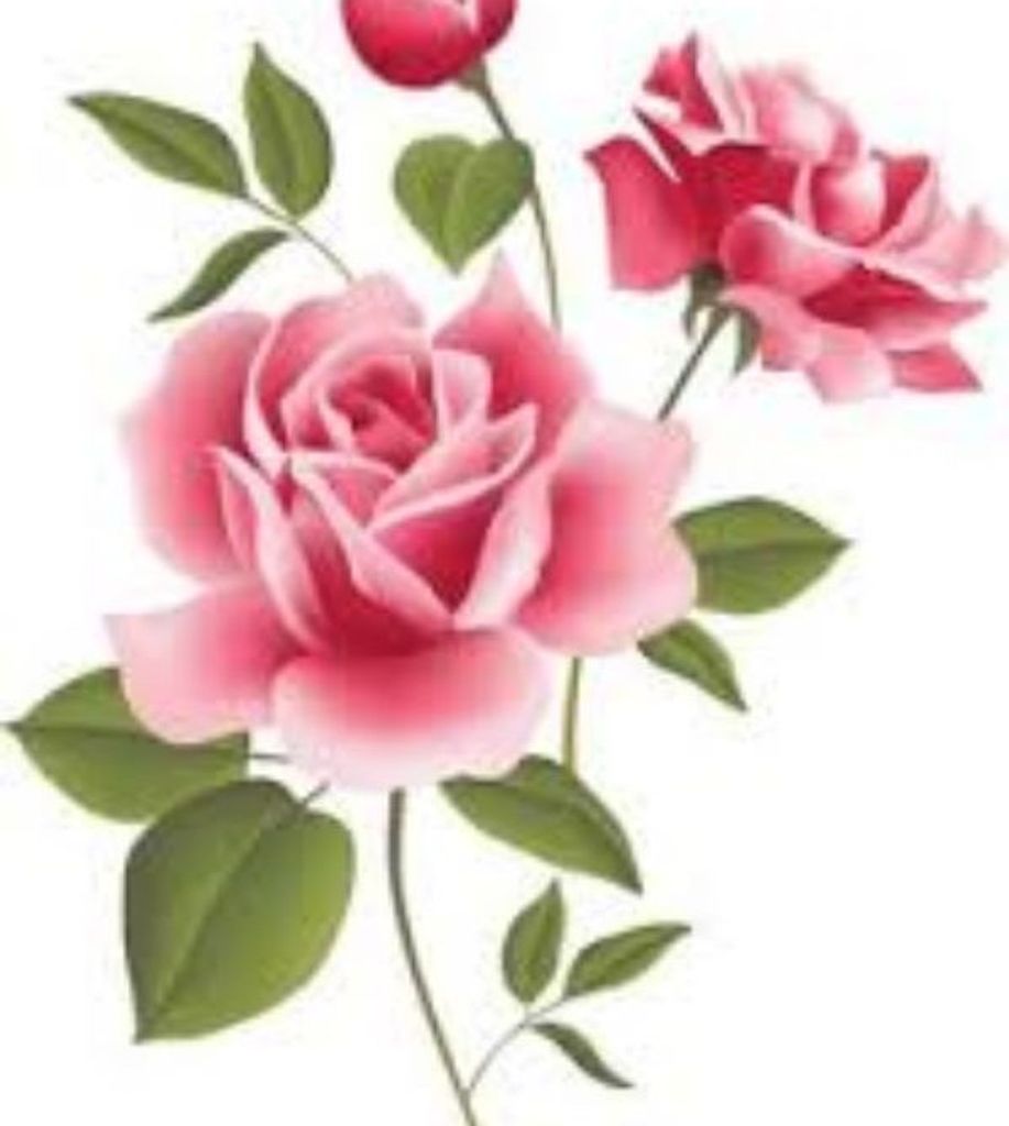 Mrs.  Sadie Mclaurin Williams, 87