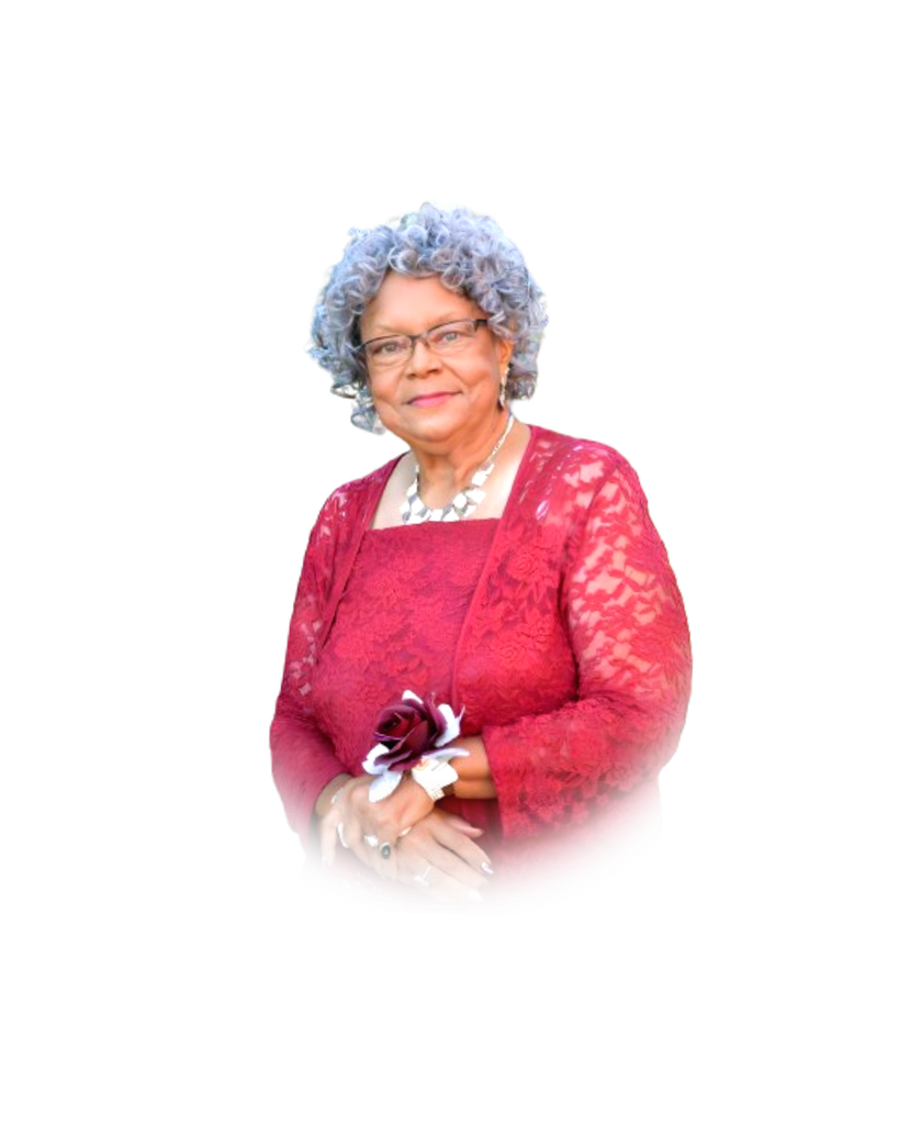 Barbara Clark Nubie Profile Photo