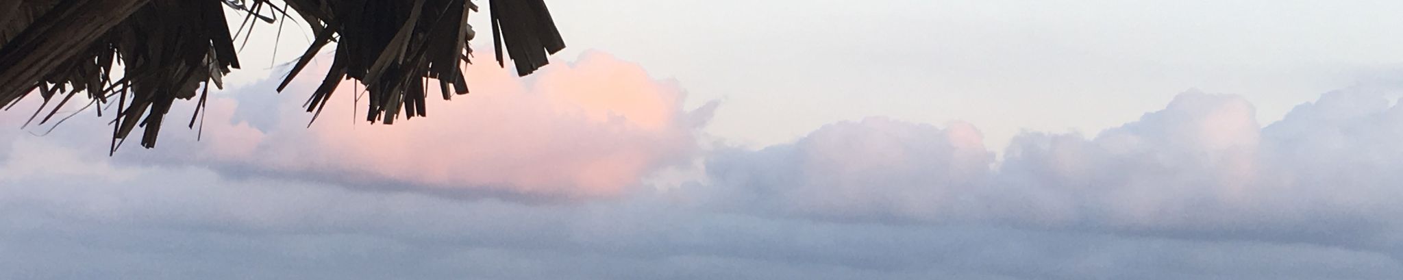 Cover photo for Sharon L. Steinke's Obituary