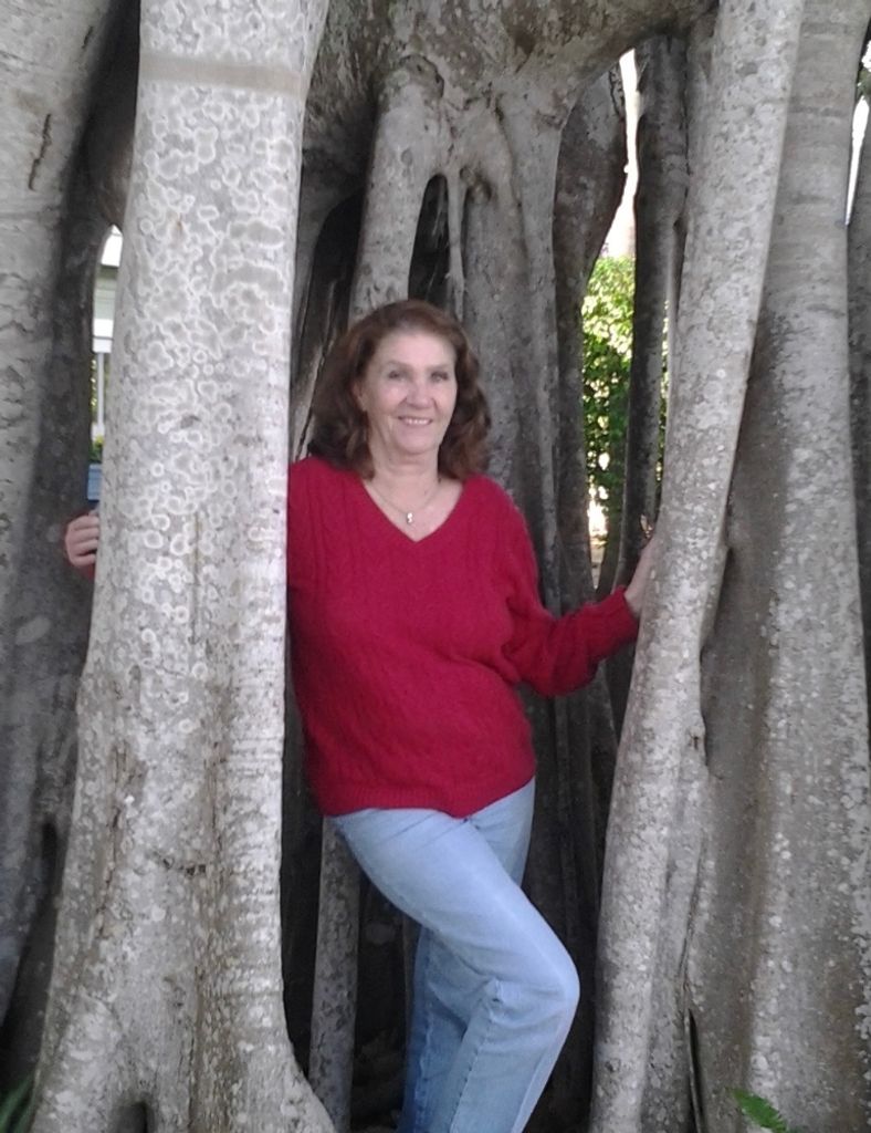 Linda Bracewell  Profile Photo