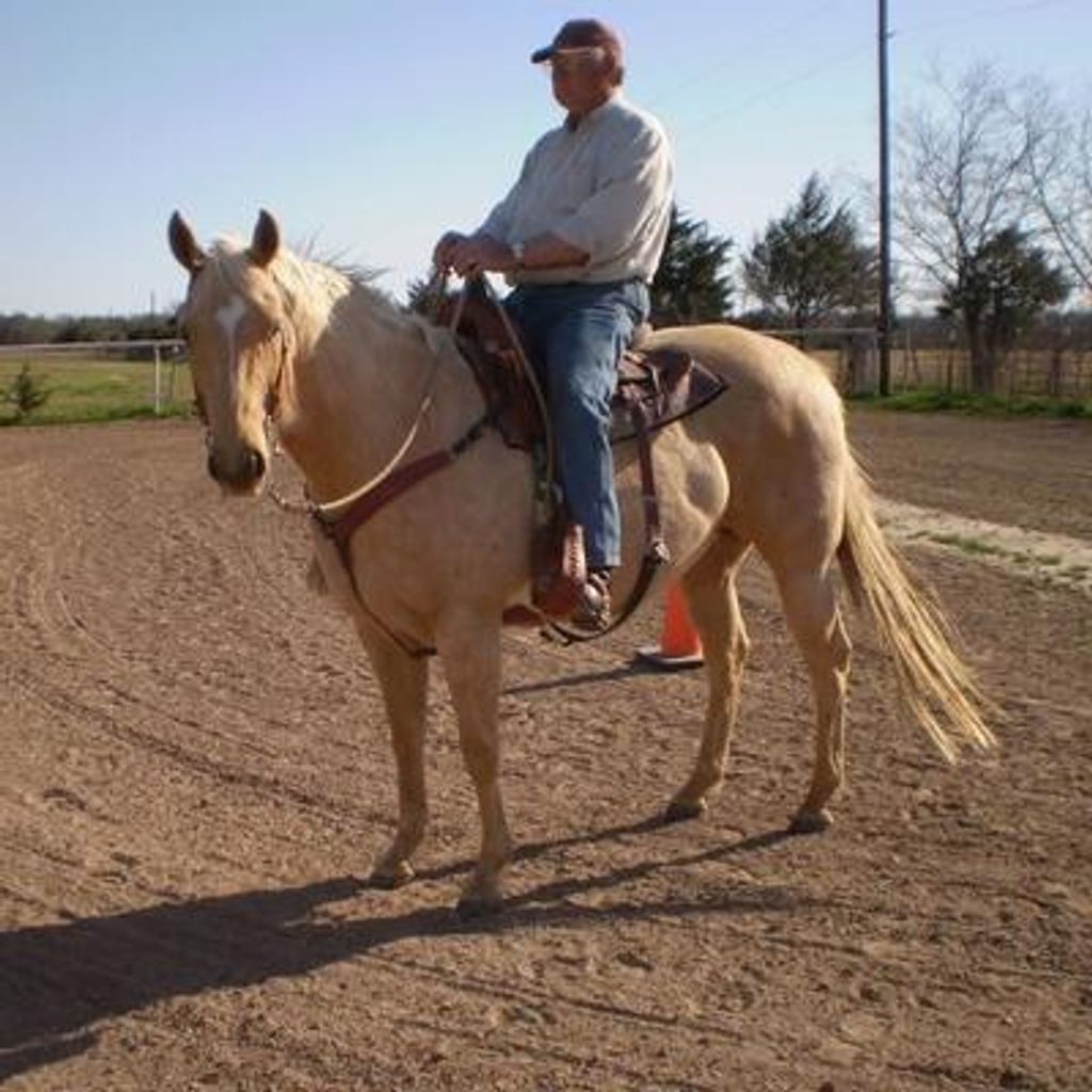 Billie Lee Murphy Profile Photo