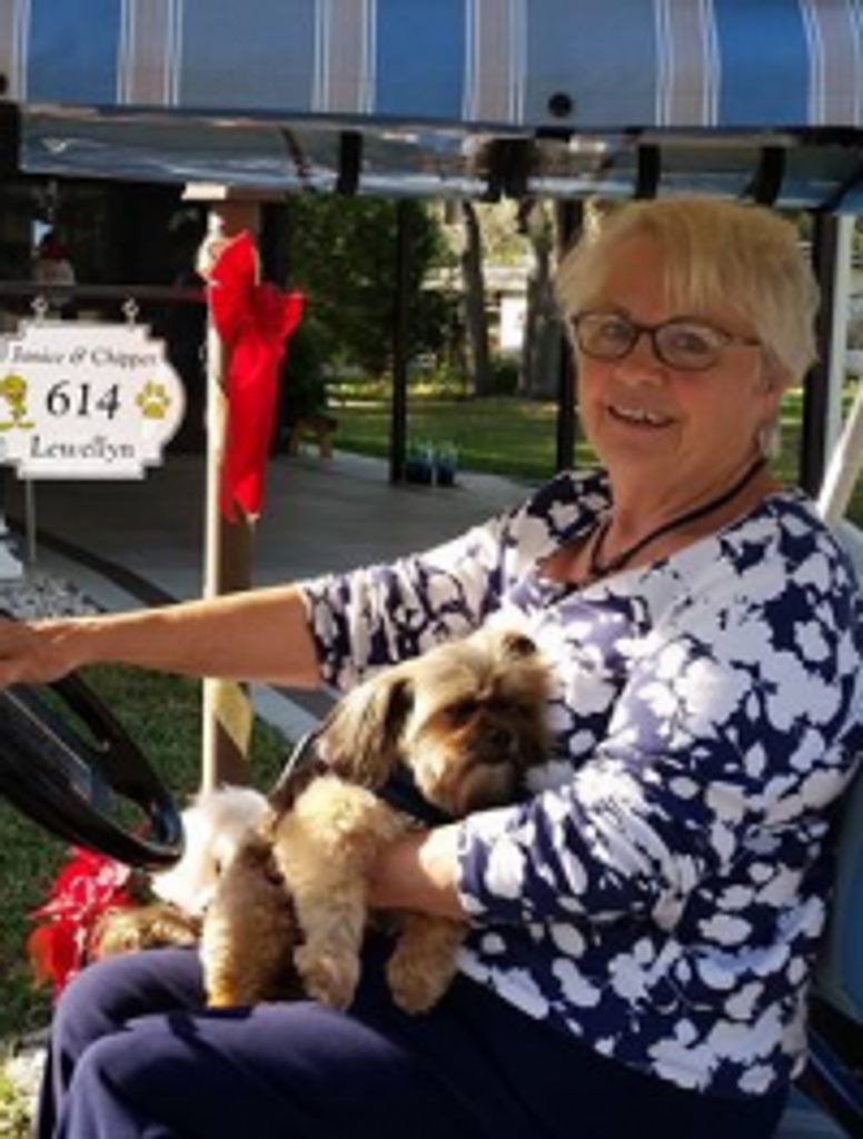 Janice T. "Mickey" Tweedy Lewellyn