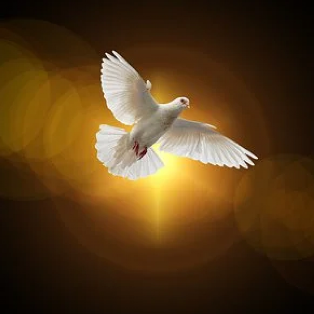 Wilfredo Valentin-Marquez Profile Photo