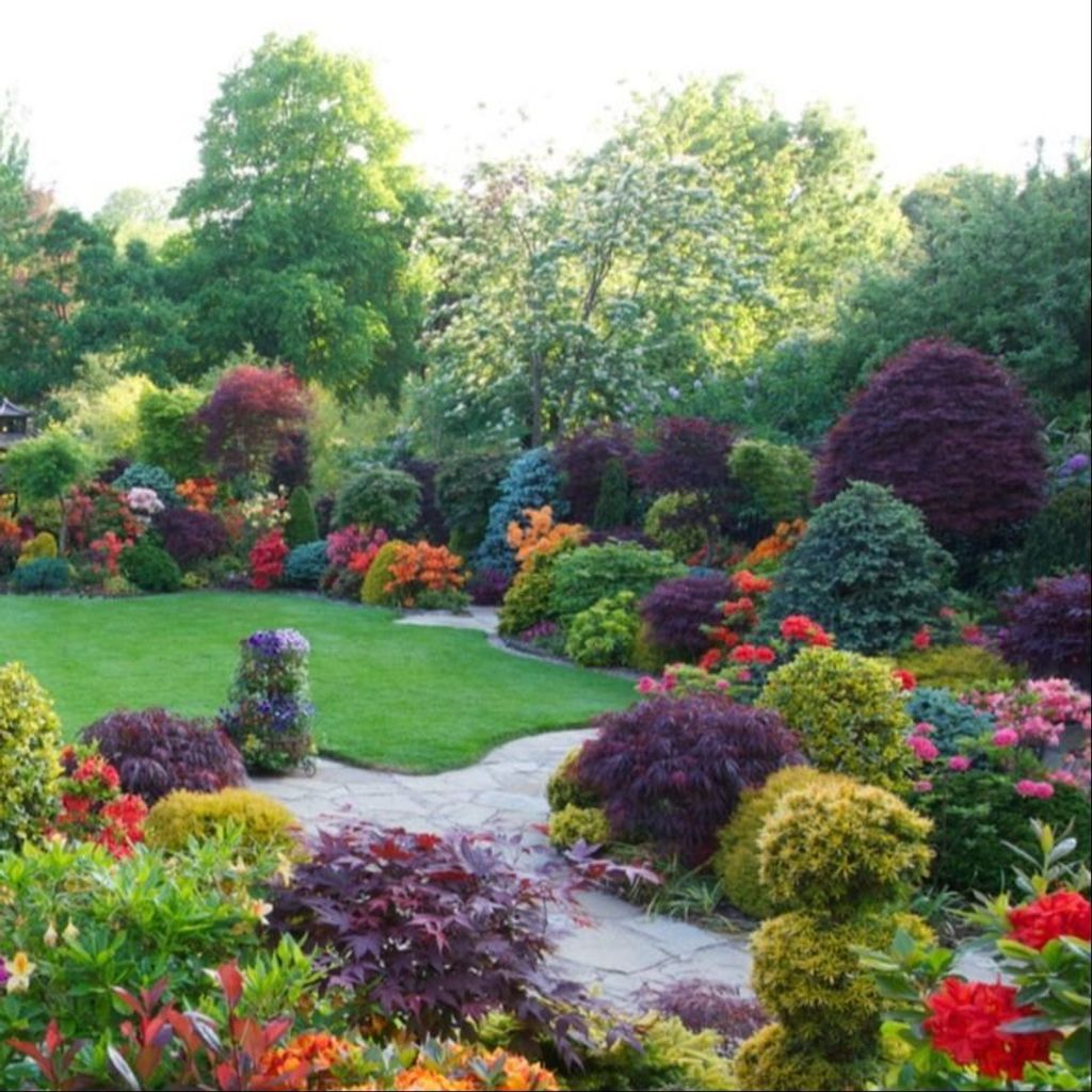 Angel Ramos-Montanez Profile Photo