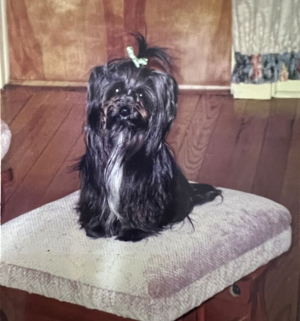 Daisy Swaim Profile Photo