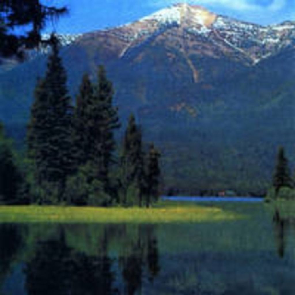 John David Allen Profile Photo