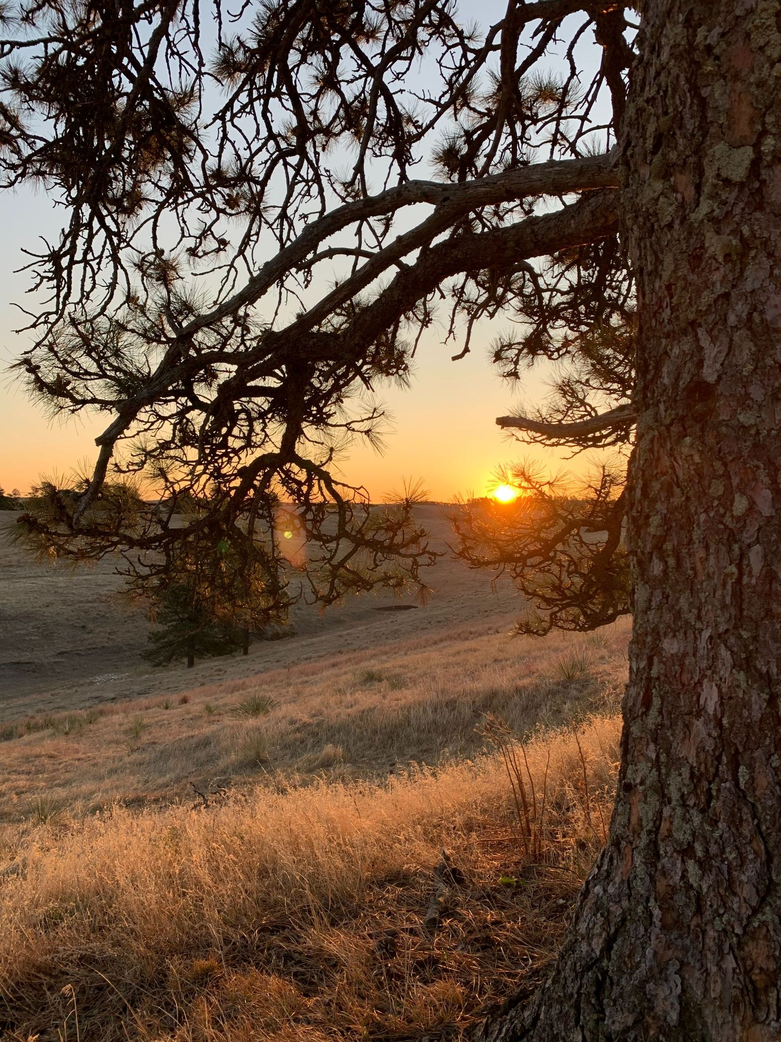 Cover photo for Anden Neal Van Beek's Obituary