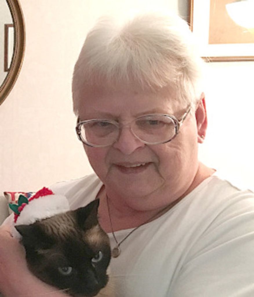 Frances J. Wilcox Profile Photo